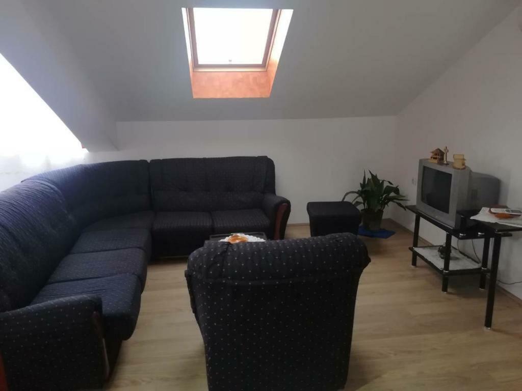 Apartman Ivana Ica Soko Banja Εξωτερικό φωτογραφία